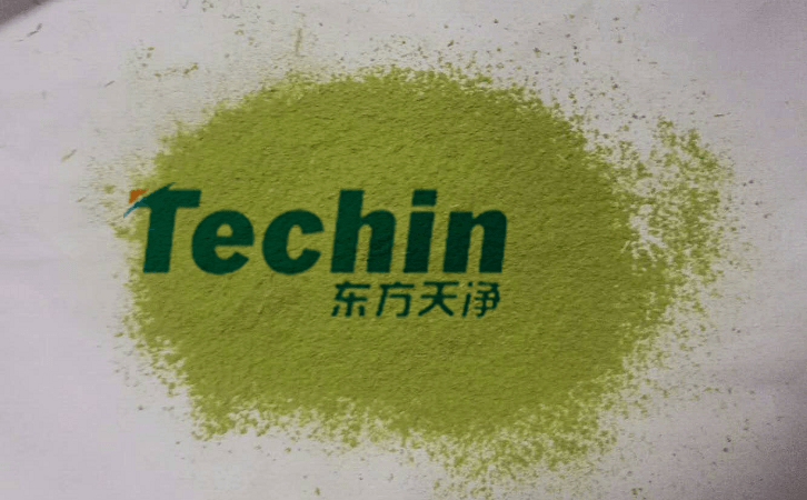 大香蕉色视频后的植物叶片