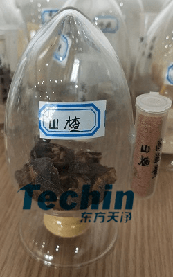 山楂大香蕉色视频前后