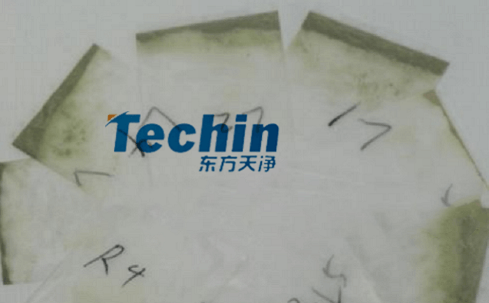 干黄豆根茎大香蕉色视频后